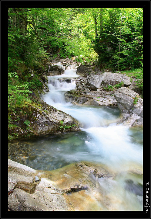 bitet 3.jpg - Le Bitet, vallée d'Ossau, 64
